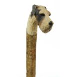 A walking stick with a fox terrier's head,