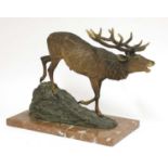 A large Austrian cold painted bronze figure of a roaring stag,