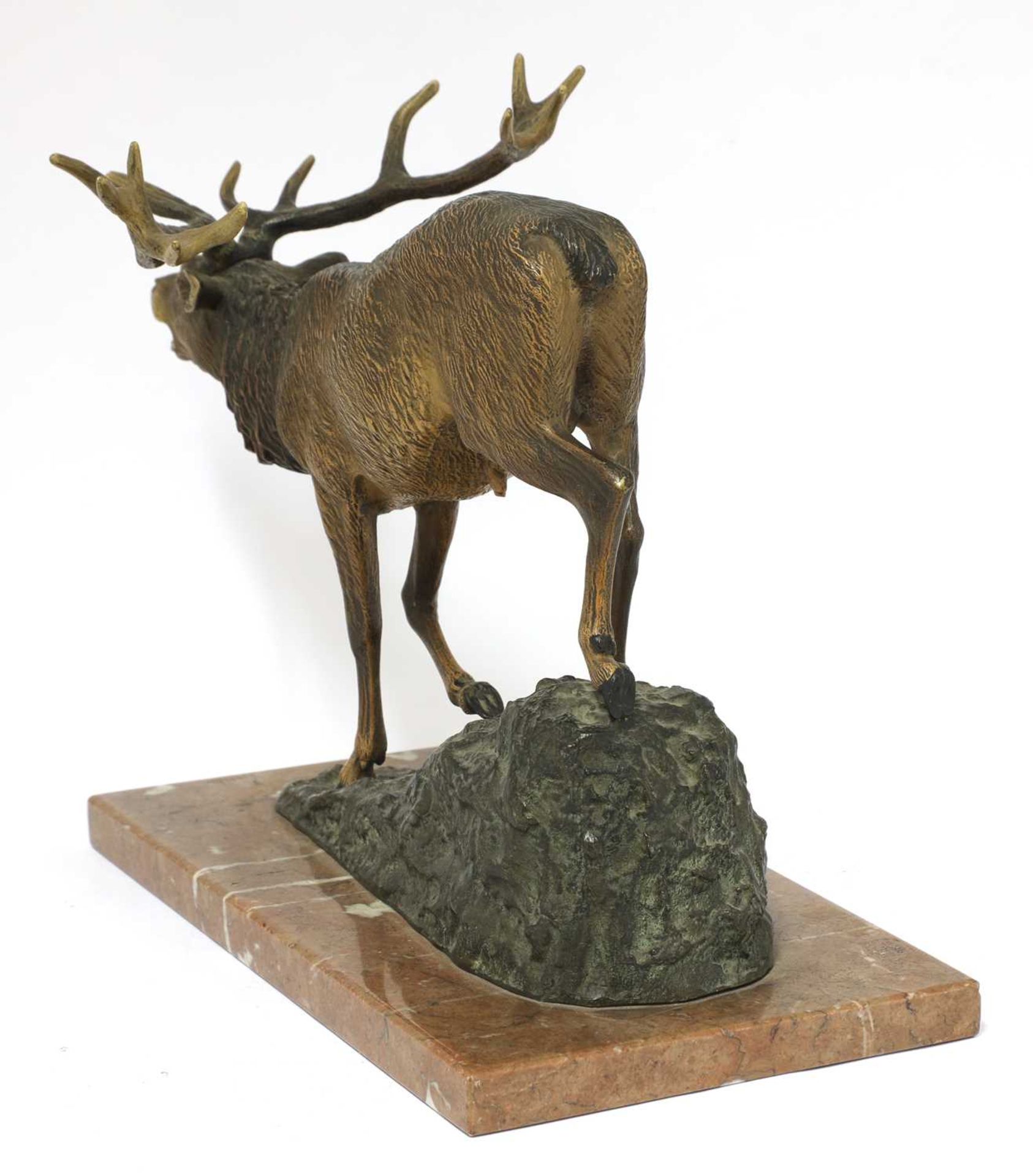 A large Austrian cold painted bronze figure of a roaring stag, - Bild 4 aus 4