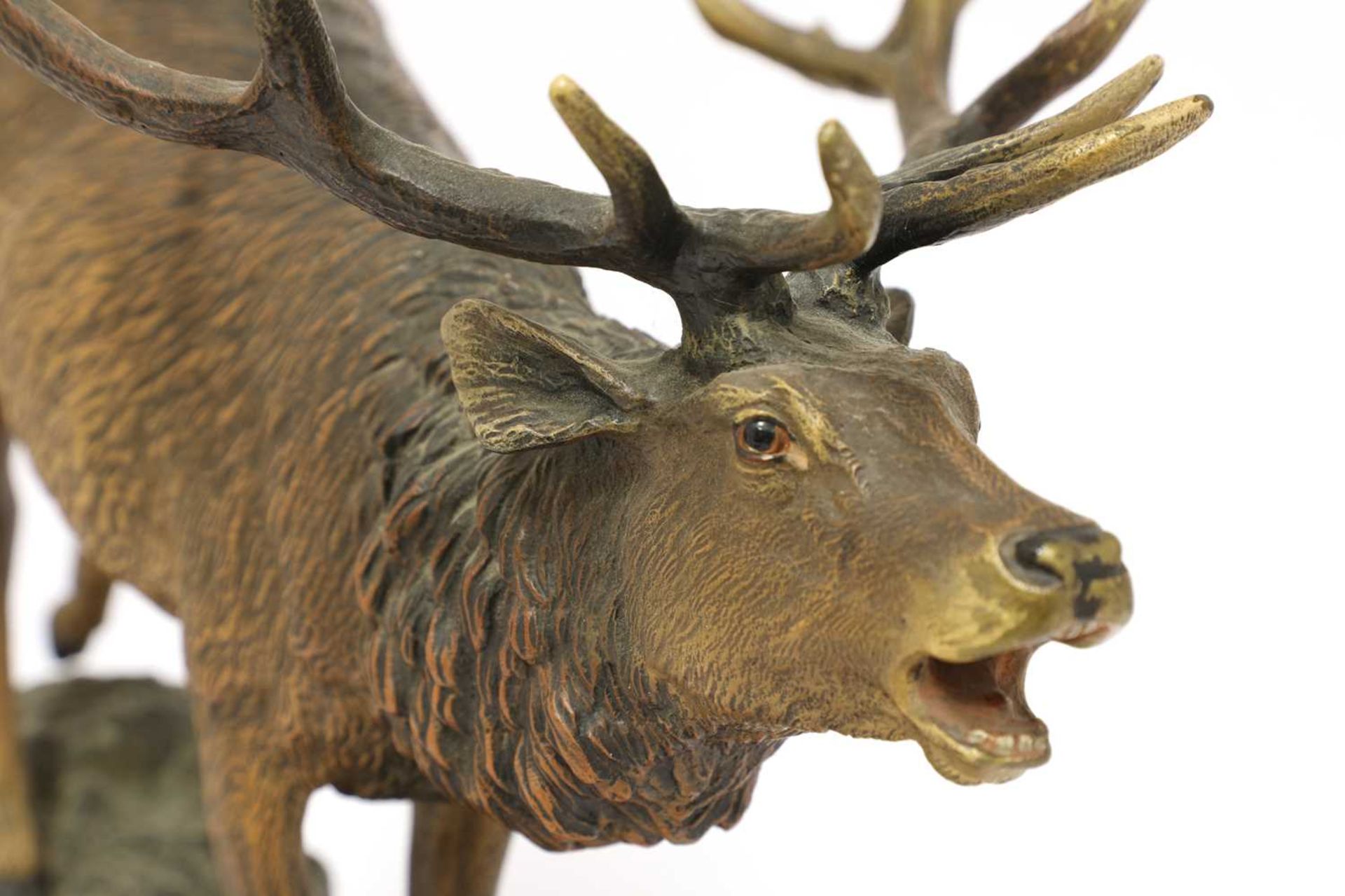 A large Austrian cold painted bronze figure of a roaring stag, - Bild 2 aus 4