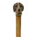 A walking stick with hound's head handle,