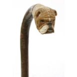 A Brigg boxer's head walking stick,