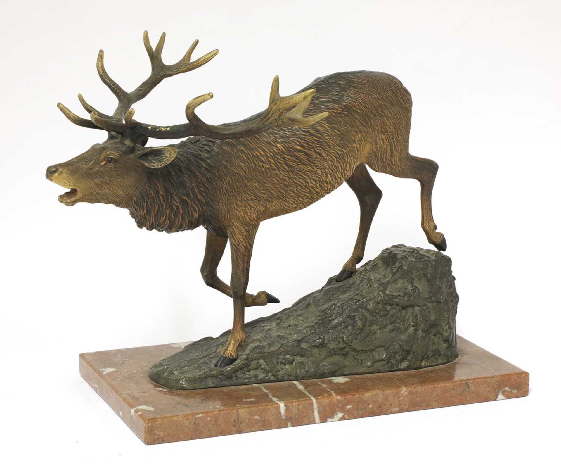 A large Austrian cold painted bronze figure of a roaring stag, - Bild 3 aus 4