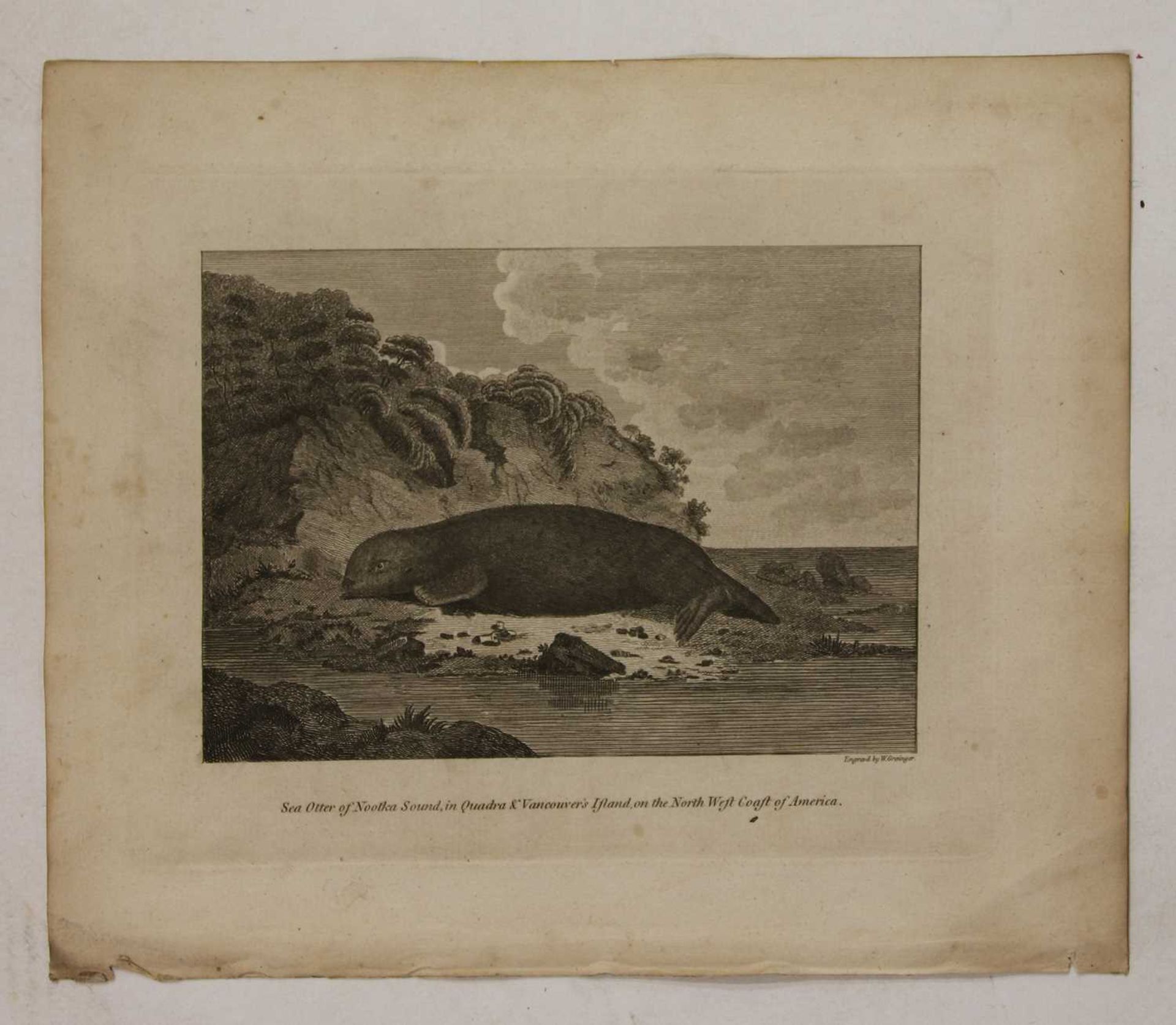 A portfolio of engravings of Maori, Australian and early American interest - Bild 12 aus 20