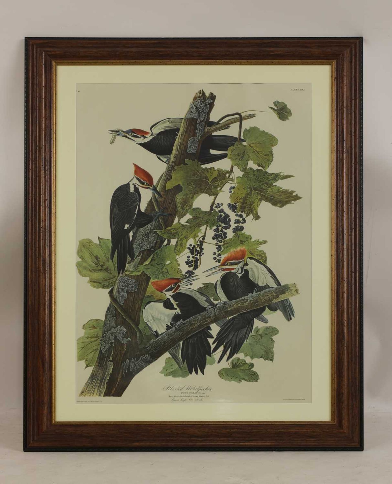 After John James Audubon - Image 6 of 7