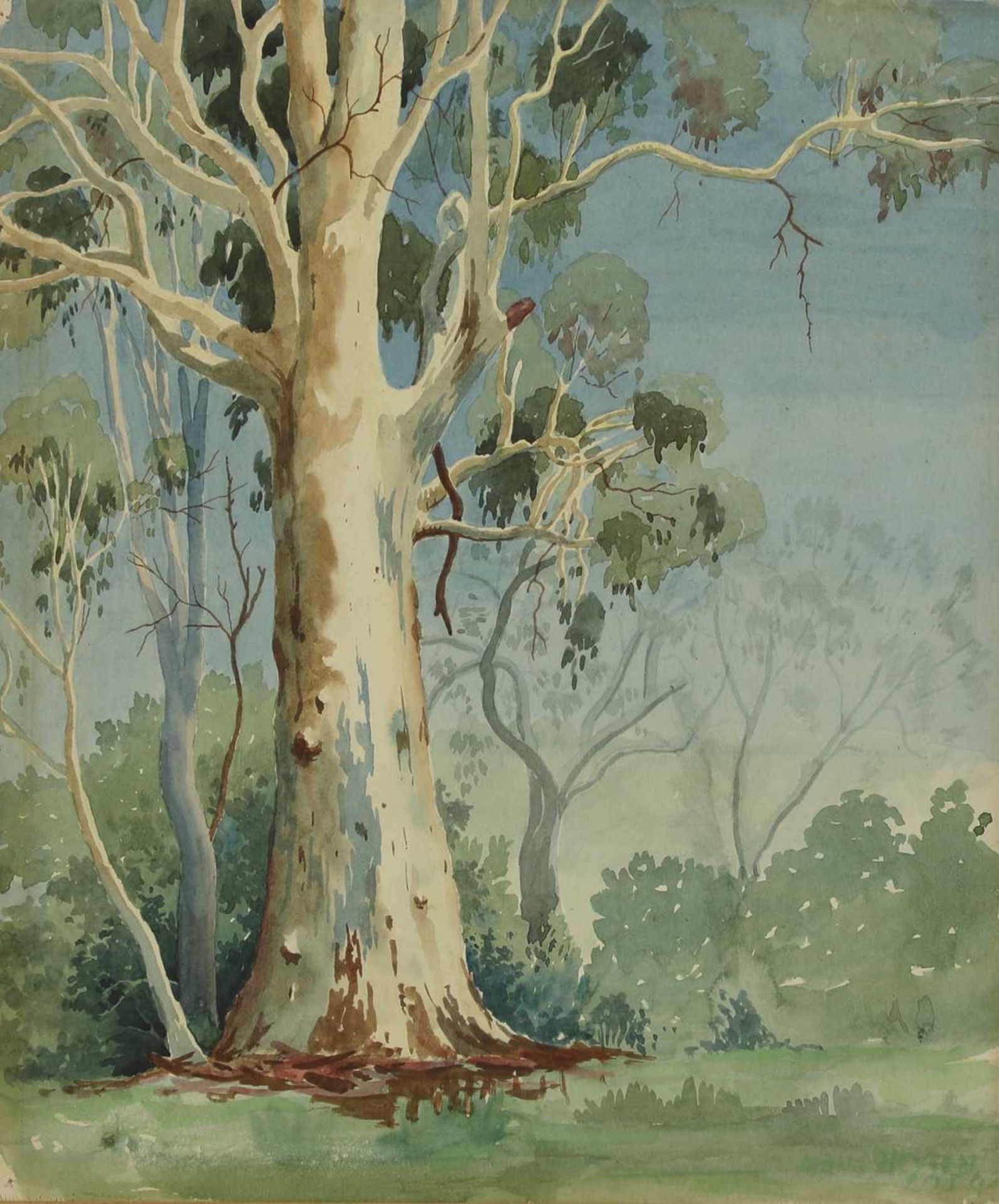 Hans Heysen (Australian,1877-1968)