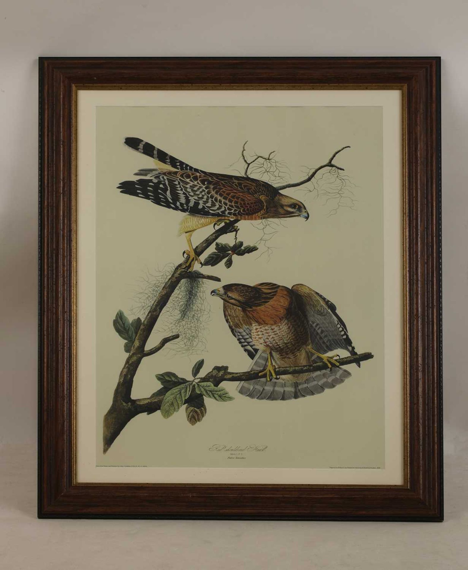 After John James Audubon - Image 3 of 7