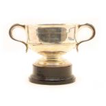 A George V silver two handled trophy cup,