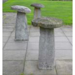 Three staddle stones,