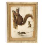 A fine framed 19th Century watercolour study of a tufted red squirrel and two mice,