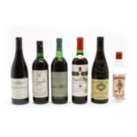 Assorted Wines and Spirits to include gin, vodka and wine, seventeen variously sized bottles