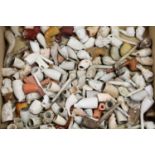 A large collection of mixed clay pipes,