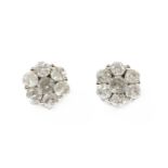A pair of white gold diamond daisy cluster earrings,