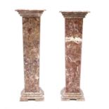 A pair of rouge marble columns,