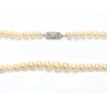 A single row graduated cultured pearl necklace,