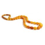 A single row graduated oval butterscotch amber bead necklace,