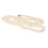 A single row of uniform cultured pearls,