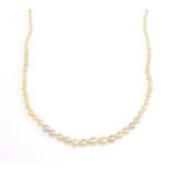 A single row graduated natural saltwater pearl necklace,