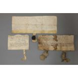 Two C14 Documents Plus one other, on Vellum: