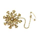An Edwardian gold diamond and split pearl flower head brooch,