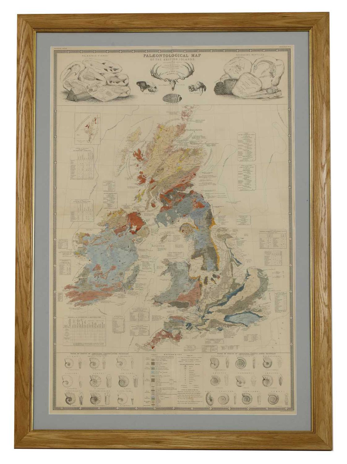 'Palaeontological map of the British Islands', - Image 3 of 16