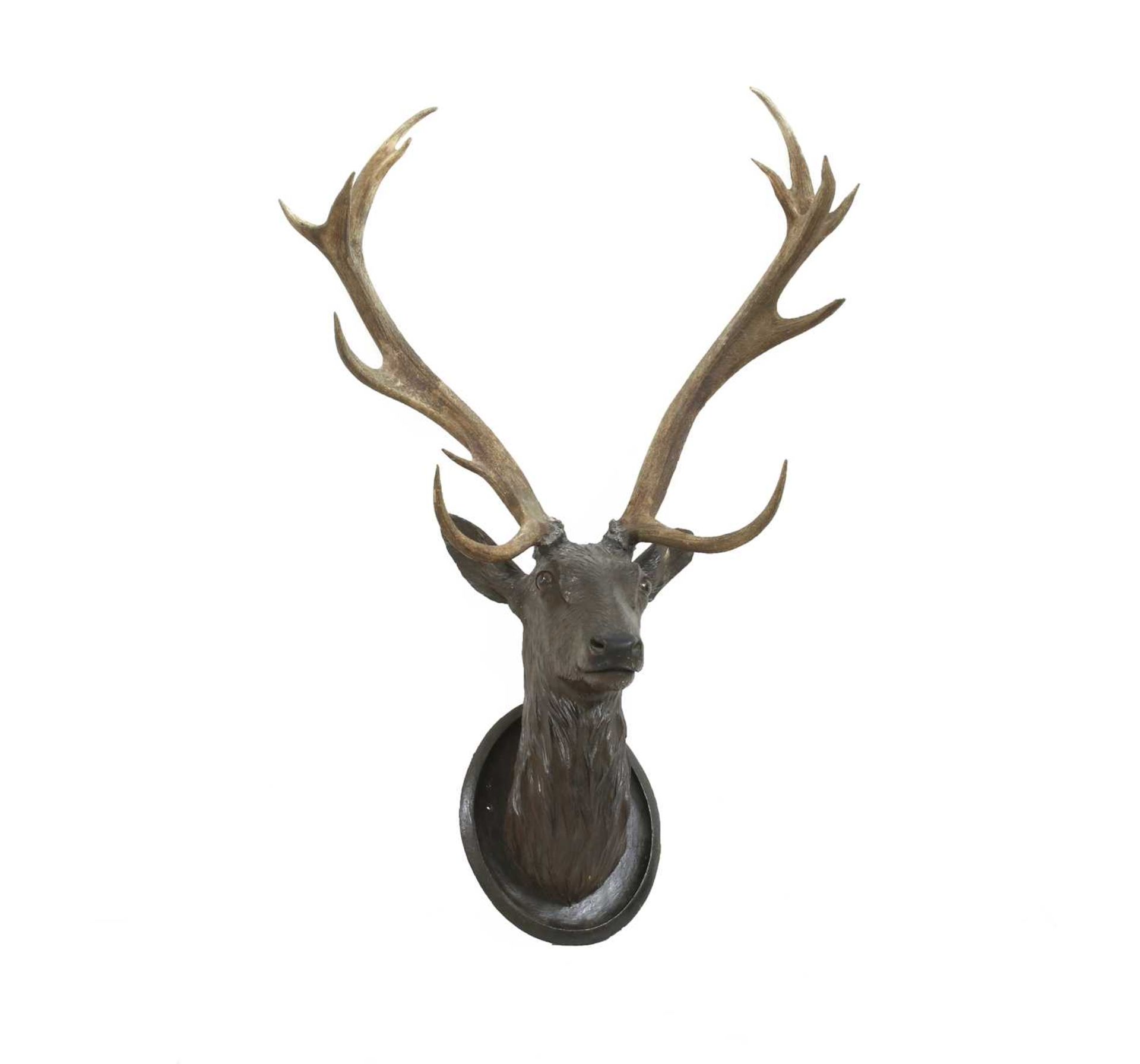 A Black Forest carved wood stag's head, with mounted antlers,