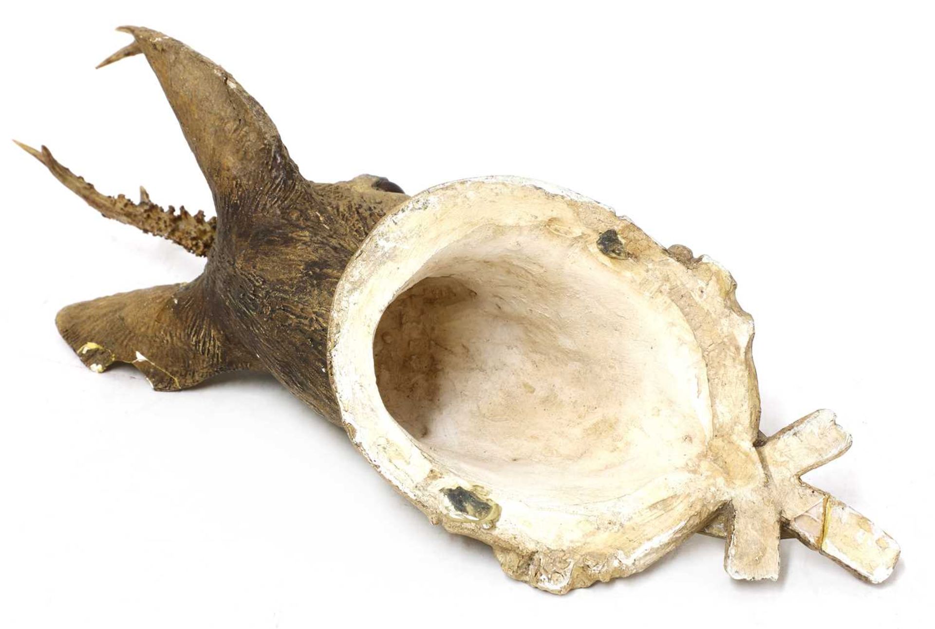 A composite roebuck head mount, - Image 3 of 3