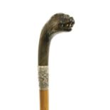 A malacca and rhino horn walking stick,