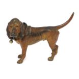 A cold-painted bronze bloodhound,