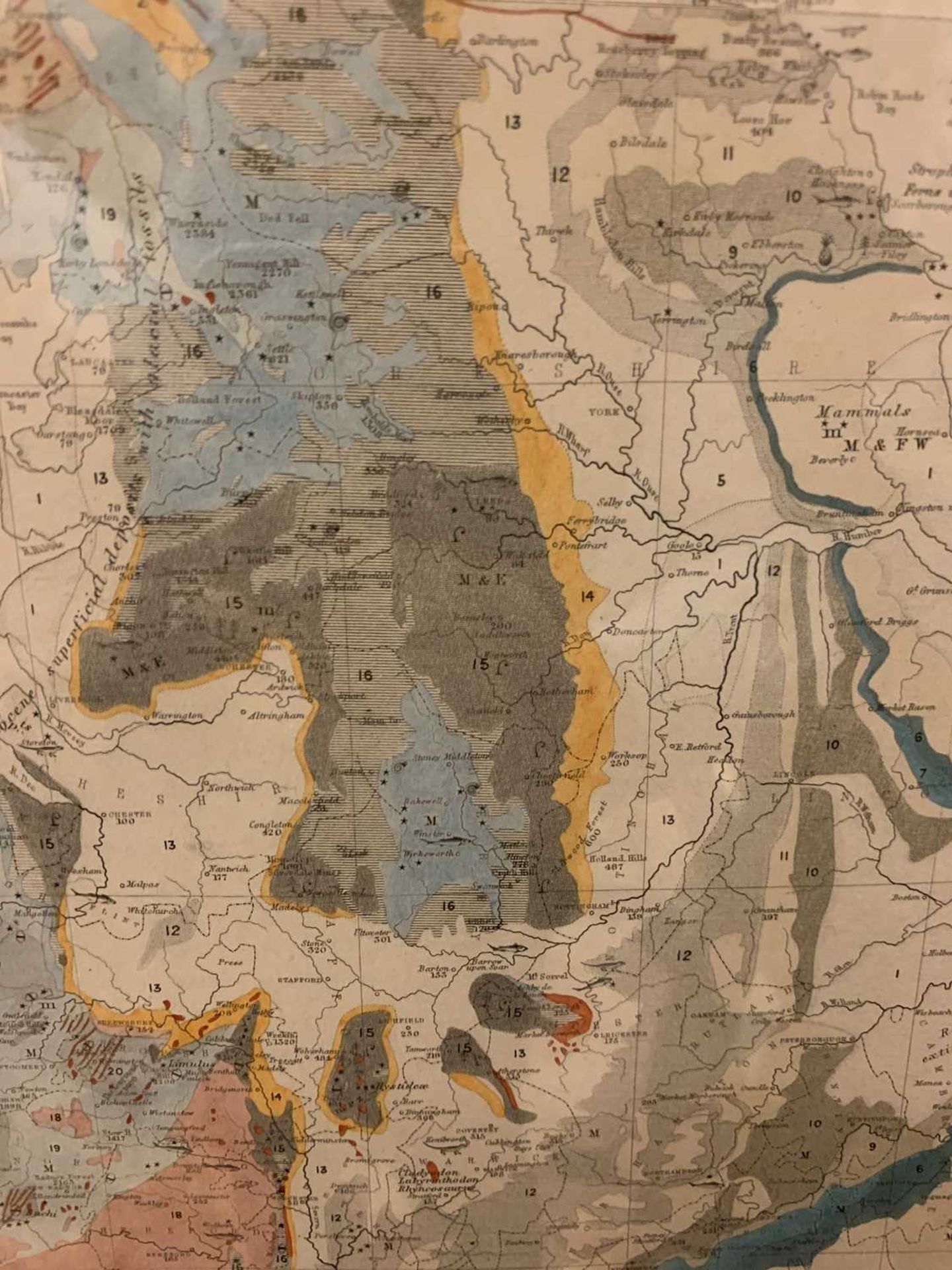 'Palaeontological map of the British Islands', - Image 12 of 16