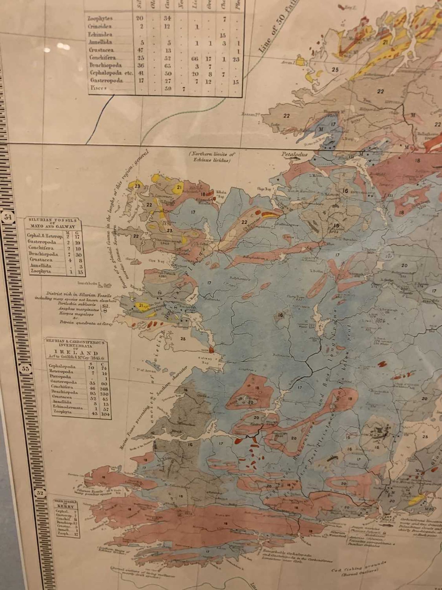 'Palaeontological map of the British Islands', - Image 7 of 16