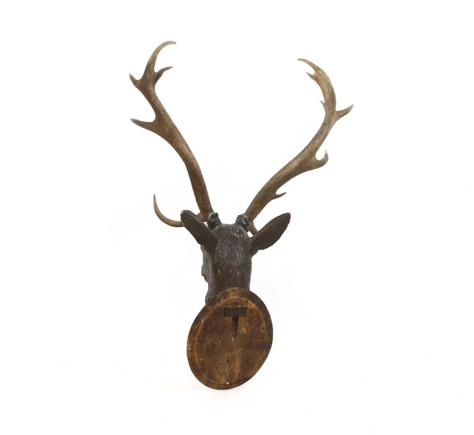 A Black Forest carved wood stag's head, with mounted antlers, - Image 3 of 16