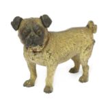 A cold-painted bronze pug,