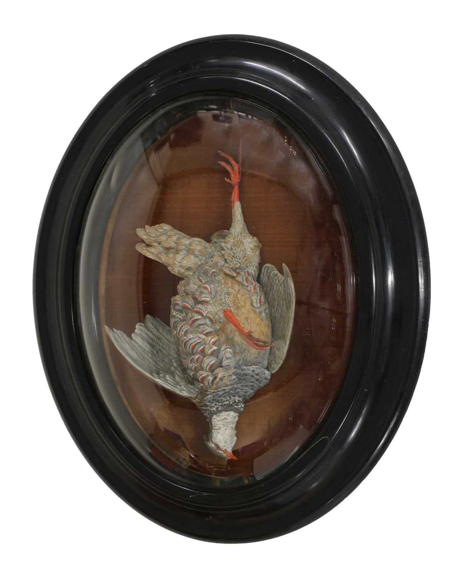 A Continental painted bisque model of a hanging French partridge,