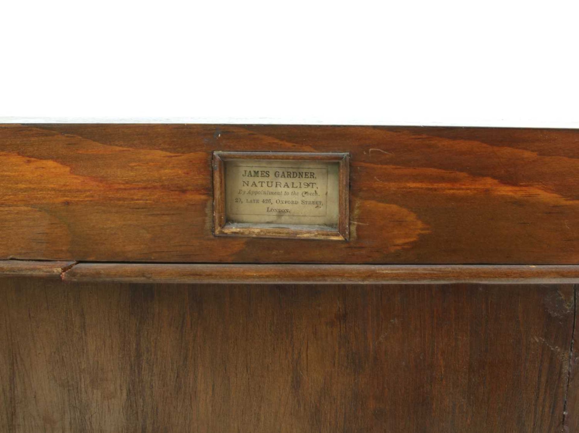 A beech collector's cabinet - Image 2 of 18