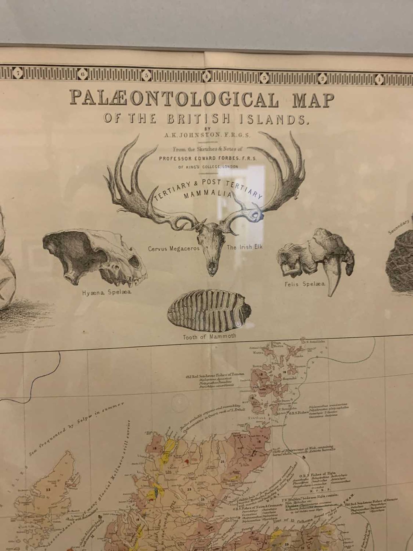 'Palaeontological map of the British Islands', - Image 6 of 16