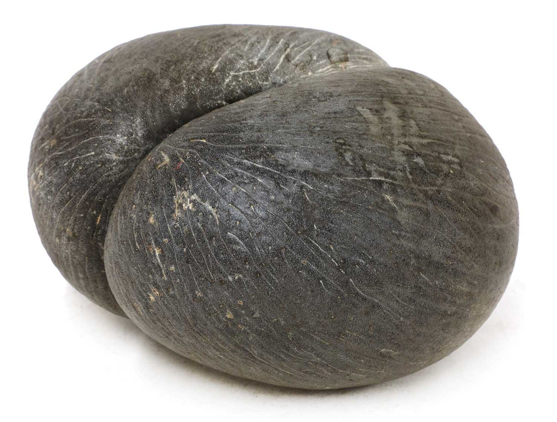 A sea coconut or coco de mer, - Image 2 of 6