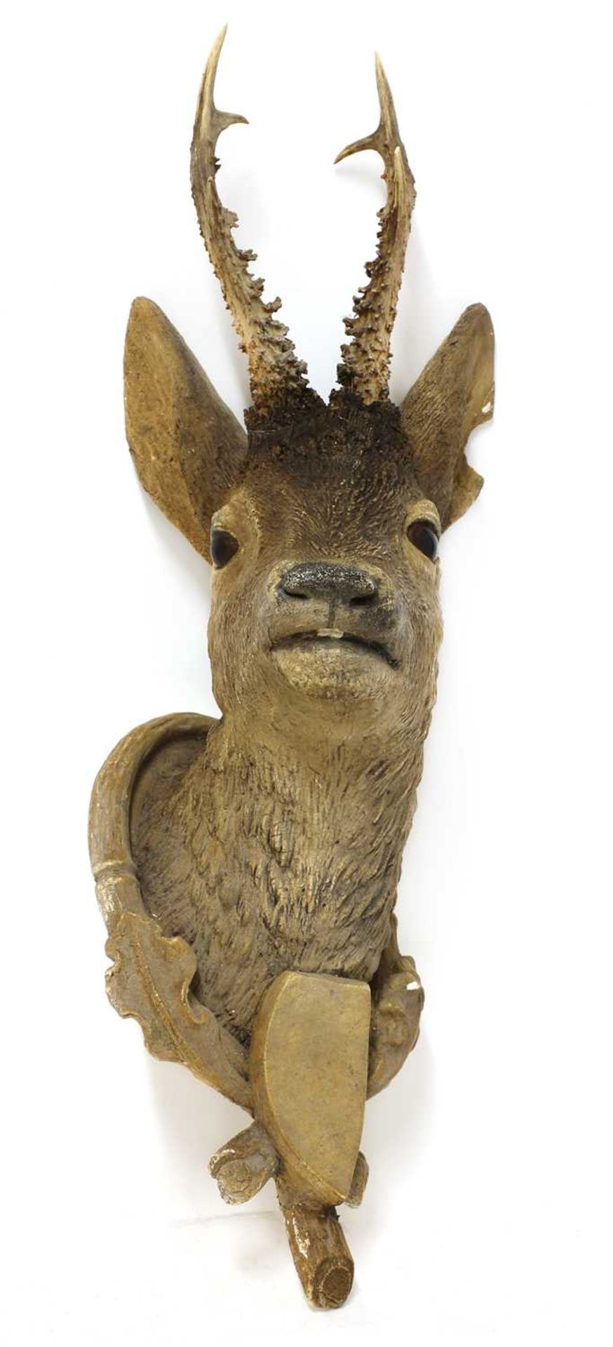 A composite roebuck head mount,