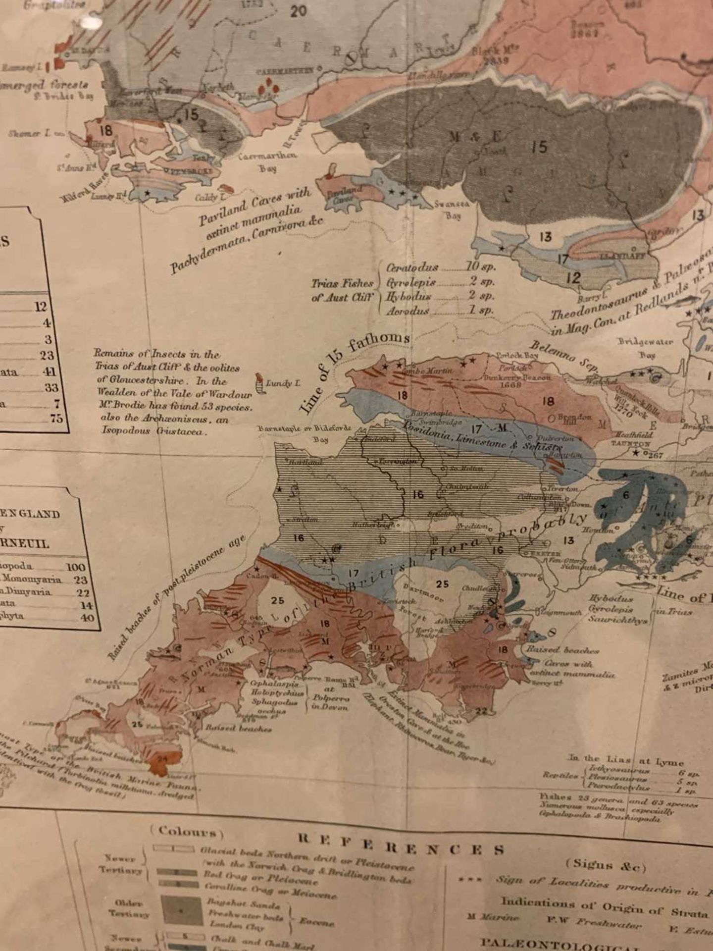 'Palaeontological map of the British Islands', - Image 13 of 16