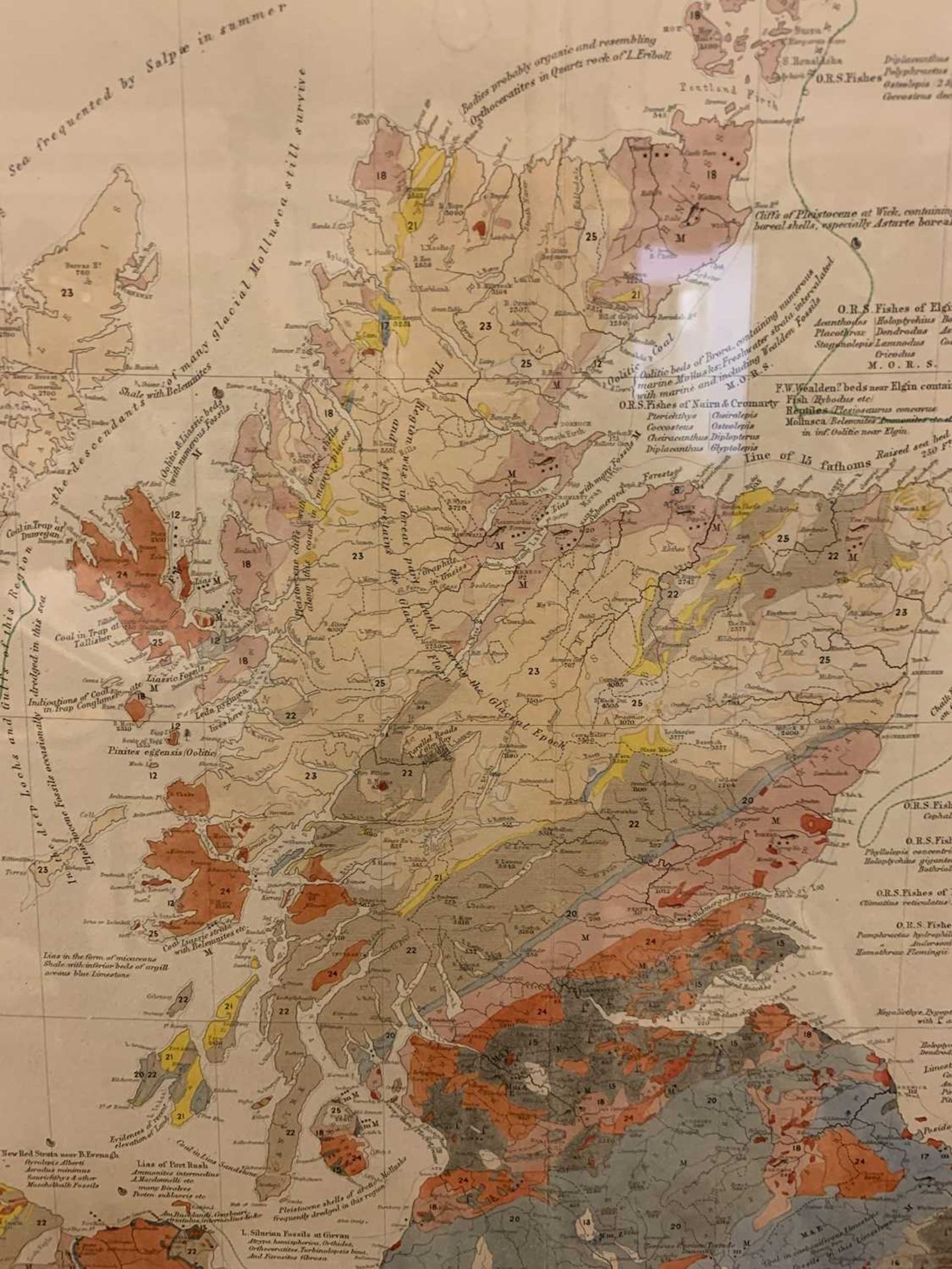 'Palaeontological map of the British Islands', - Image 10 of 16