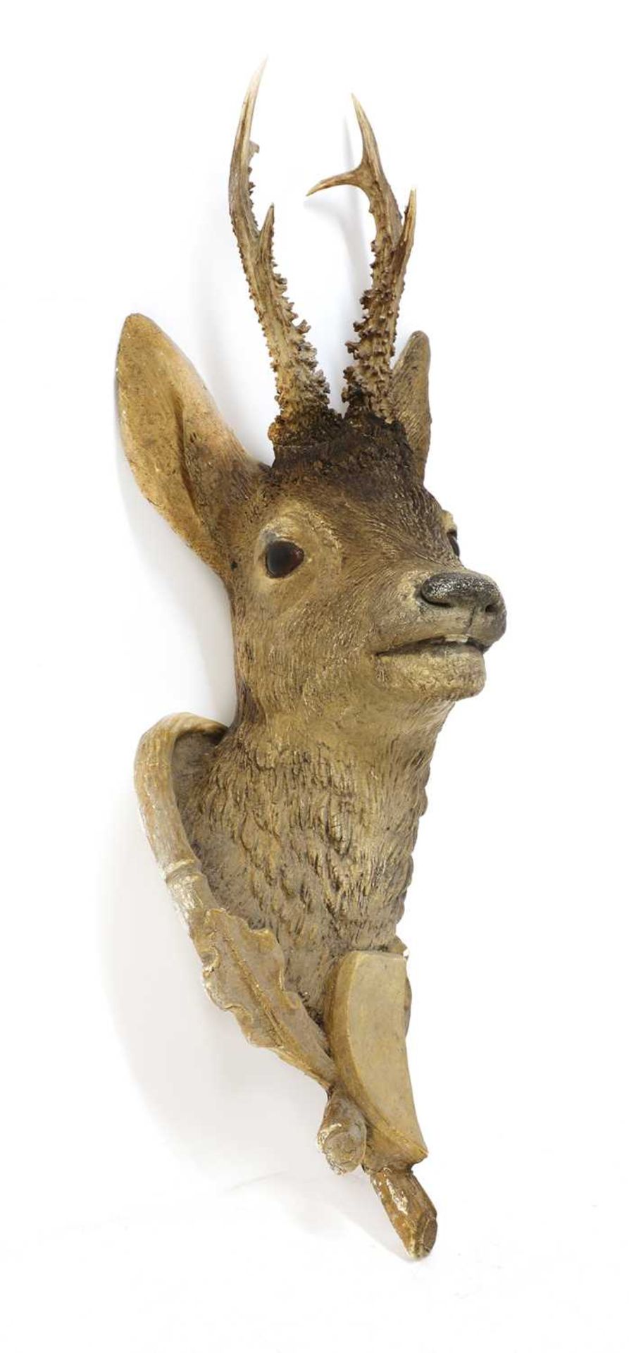 A composite roebuck head mount, - Image 2 of 3