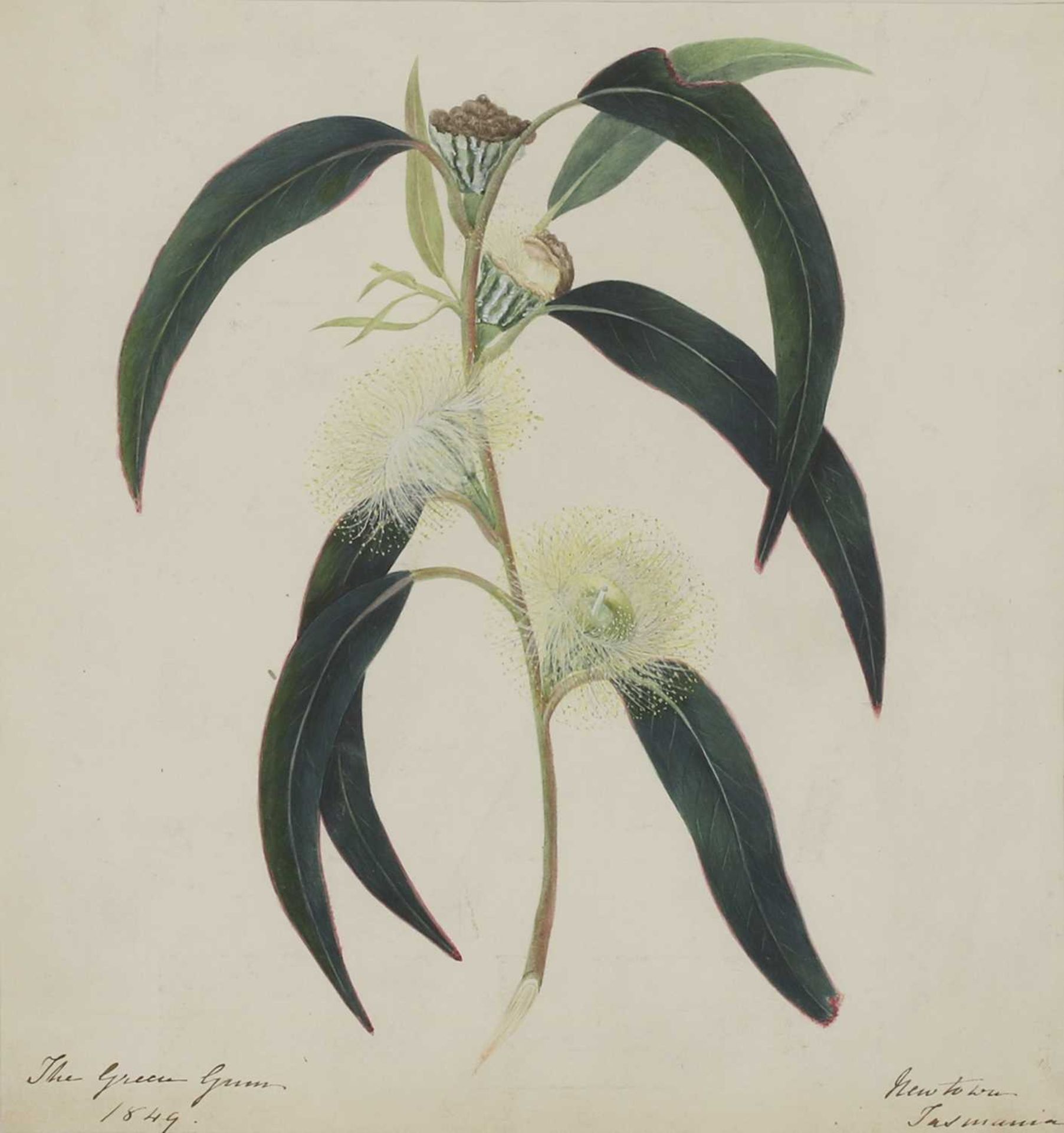 Attributed to William Buelow Gould (1803-1853) - Image 2 of 4