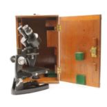 Two binocular microscopes