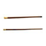 Two Georgian walking sticks,