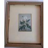 ALICE G.C. BARNWELL R.M.S., (Exh. 1931-1940), a framed and glazed watercolour study 'Wood