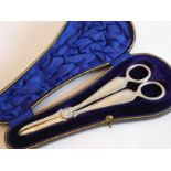 A cased heavy hallmarked pair of silver pair of grape scissors; maker's mark HA, assayed Sheffield