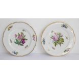 A pair of 19th century hand-painted cabinet plates; polychrome floral decoration on a white ground
