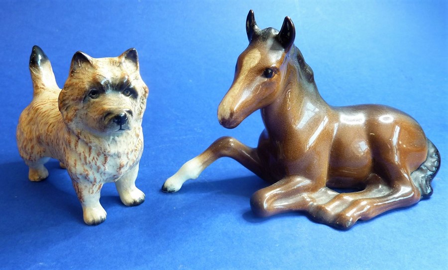 A Beswick Cairn terrier and a recumbent Beswick foal (2)