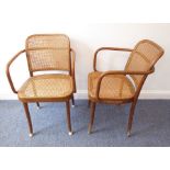 A pair of early 20th century stained bentwood open armchairs having rattan-cane backs and seats