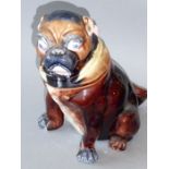 A novelty late 19th century Majolica pottery box and cover modelled as a pug dog (20cm high)